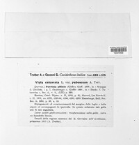 Image Associated With the Occurence